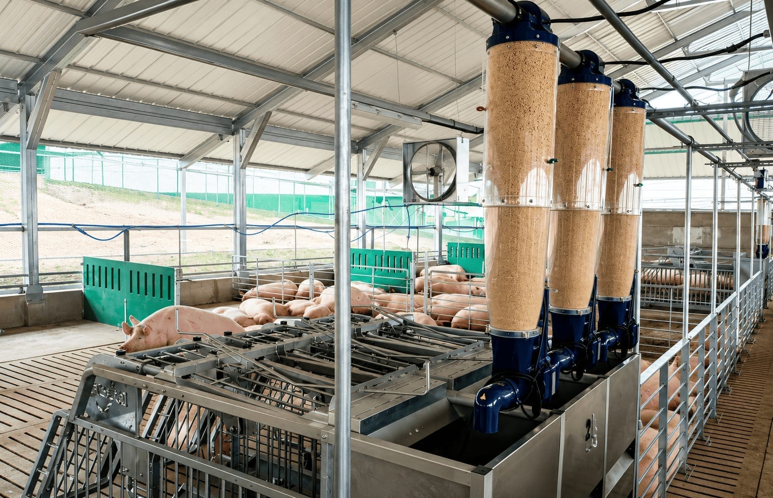 Instalación automatizada de alimentación con cerdos en ambiente controlado.
