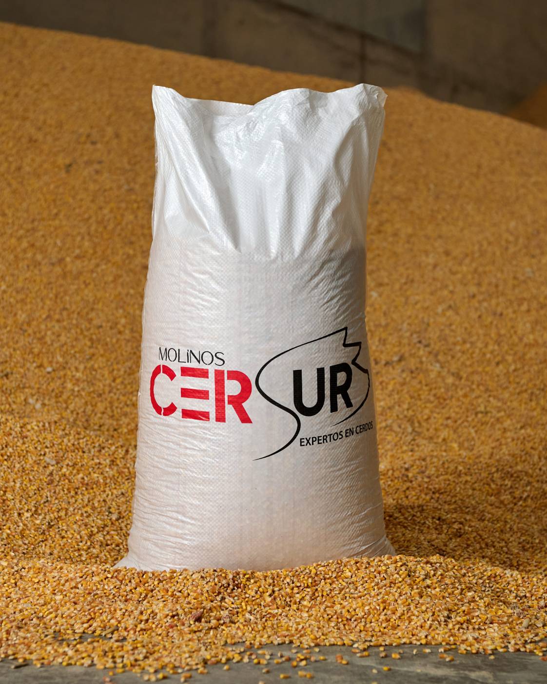 Saco de alimento balanceado Molinos CERSUR sobre maíz — producto estrella de la planta de alimento.
