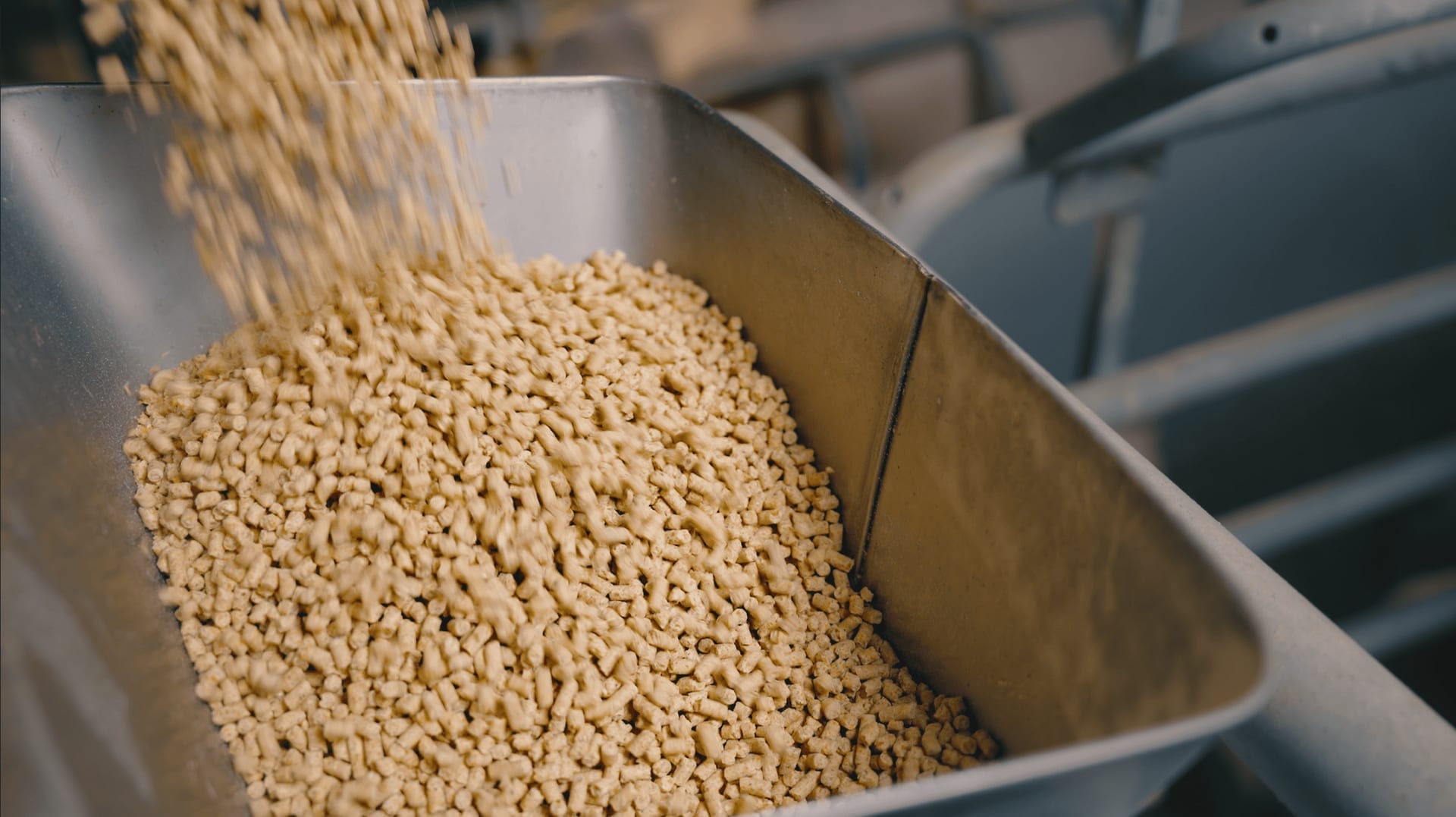 Pellets de alimento balanceado cayendo — producto final peletizado.