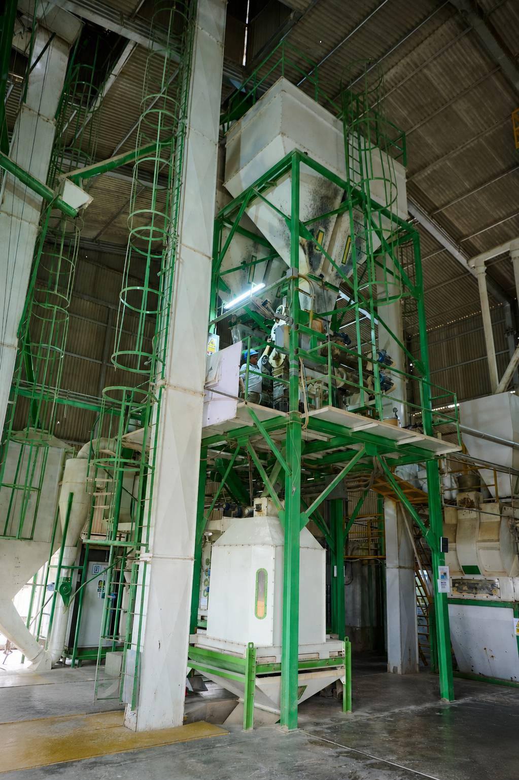 Maquinaria de peletizado en planta Molinos CERSUR — producción industrial de alimento balanceado.
